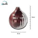 ظرف نگهدارنده پیاز