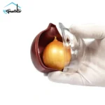 ظرف نگهدارنده پیاز
